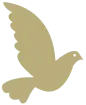 white logo